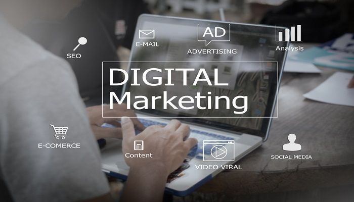 Digital Marketing Consultation